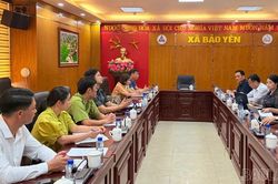 Phó Chủ tịch UBND tỉnh Giàng Quốc Hưng định hướng nhân rộng mô hình trồng cây bồ đề tại Bảo Yên