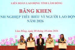 Lâm Đồng biểu dương doanh nghiệp, người lao động tiêu biểu năm 2026