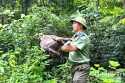 Thả 17 cá thể động vật hoang dã về môi trường tự nhiên