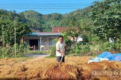 Bảo vệ vật nuôi trước mùa mưa