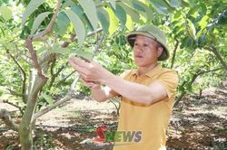 Đổi mới tư duy sản xuất ở các hợp tác xã nông nghiệp