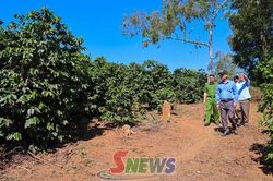 Sẵn sàng cho Giải chạy Marathon 'Arabica' tỉnh Sơn La năm 2026