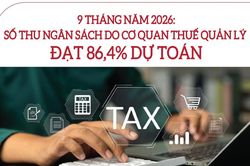 Infographics: 9 tháng, ngành Thuế thu ngân sách ước đạt 1.937.992 tỷ đồng