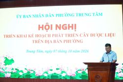 Lào Cai phát triển cây dược liệu gắn với bảo tồn tài nguyên và sinh kế xanh