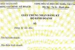 Hồ sơ đăng ký hộ kinh doanh kê khai không trung thực bị xử lý thế nào?
