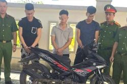 Khởi tố 3 đối tượng trộm chó bằng súng điện tự chế
