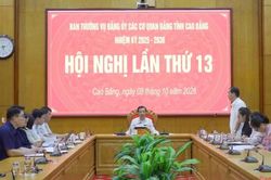 Hội nghị lần thứ 13 Ban Thường vụ Đảng ủy các cơ quan Đảng tỉnh