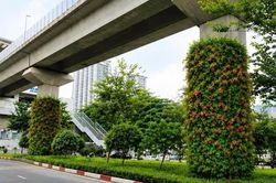 Hà Nội thí điểm phủ xanh trụ đường sắt, hầm chui và nhà chờ xe buýt