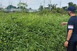 Xã Tân Nhựt, TPHCM: Tháo gỡ 'nút thắt' thủ tục dự án cửa hàng xăng dầu