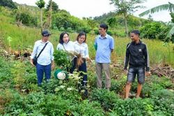 Đà Nẵng mở hướng sinh kế mới từ lợi thế vùng cao