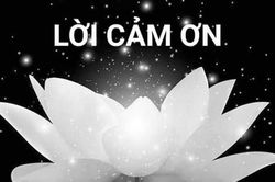 LỜI CẢM ƠN