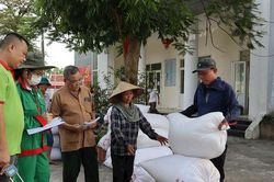 Phát triển vùng chuyên canh lúa hữu cơ tập trung tại Đồng Phú (xã Hòa Phú): Tạo nền tảng cho sản phẩm OCOP chất lượng cao