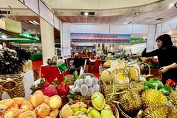 Hàng ngàn đặc sản vùng miền quy tụ tại Hà Nội