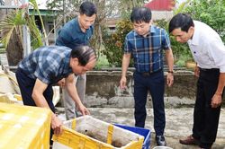 Hà Tĩnh ghi nhận ổ dịch sốt xuất huyết với 9 ca mắc