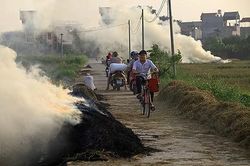 Hà Nội yêu cầu ngăn chặn và xử lý nghiêm các trường hợp đốt rơm rạ