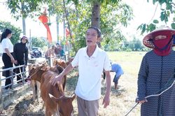 Hà Tĩnh: Trao sinh kế, mở hướng phục hồi sản xuất cho người dân sau thiên tai