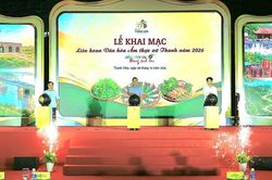 Hơn 600 món ăn hội tụ tại Liên hoan Ẩm thực Xứ Thanh