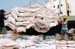 Quy định mới về kinh doanh xuất, nhập khẩu gạo