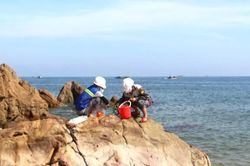 Quảng Trị: Cá biển chết không phải do ô nhiễm môi trường nước