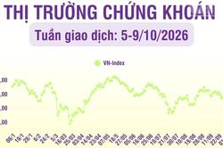 [Infographic] Thị trường tuần 5-9/10/2026: Áp lực nhóm vốn hóa lớn, VN-Index tiếp tục suy yếu