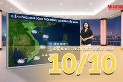 [Video] Dự báo thời tiết đêm nay và ngày mai 10/10/2026: Không khí lạnh tăng cường khiến Bắc Bộ chuyển mưa, Trung Bộ tiếp diễn mưa lớn