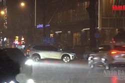 [Video] Mưa ngập tại Thành phố Hồ Chí Minh ảnh hưởng khoảng 250 chuyến xe buýt