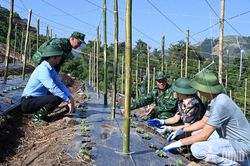 Bộ đội Biên phòng tỉnh Lai Châu giúp dân xây dựng vùng rau an toàn