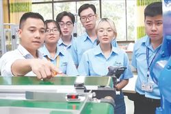Hạt giống quý cần gieo đất tốt