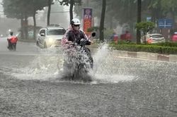 TPHCM: Mưa lớn tiếp diễn, triều cường có thể trên báo động 3
