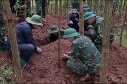 Phát hiện nhiều hài cốt liệt sĩ ở Quảng Trị