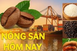 Giá nông sản hôm nay 9/10/2026: Giá cà phê trong nước vẫn có cơ hội phục hồi mạnh; Chính sách thuế quan Mỹ đối mặt thách thức pháp lý và kinh tế