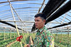 Đan Phượng lan tỏa những điển hình chung sức xây dựng nông thôn mới