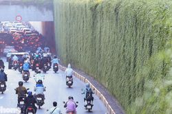Những hầm chui Hà Nội trước ngày phủ xanh