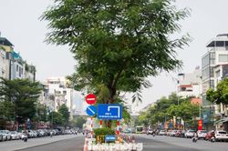 Nút thắt phố Ô Chợ Dừa thay đổi ra sao sau khi mở rộng?