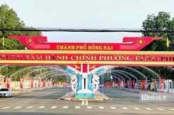 TP Đồng Nai thu hồi gần 1,48ha đất doanh nghiệp cao su làm đường kết nối các khu công nghiệp