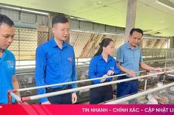Nhiều hoạt động hướng tới kỷ niệm 70 năm ngày truyền thống Hội LHTN của tuổi trẻ Hà Tĩnh