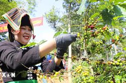 Điện Biên tăng tốc quý 4 với mục tiêu tăng trưởng gần 14%