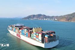 Hai cảng biển Cái Mép-Thị Vải lần đầu vận hành chung bến cảng