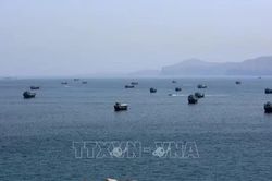 Lương thưởng của thuỷ thủ dám mạo hiểm vượt eo biển Hormuz tăng vọt