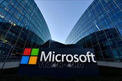 Mỹ đình chỉ chứng nhận lao động định cư của Microsoft