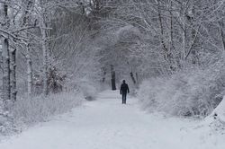 El Niño và nguy cơ rét đậm ở châu Âu