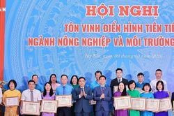 Tôn vinh điển hình tiên tiến ngành nông nghiệp và môi trường
