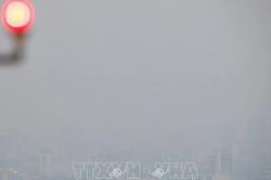 Thái Lan: Bụi mịn PM2.5 tại Bangkok vượt ngưỡng an toàn