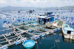 Người dân ven biển thay đổi cách làm để giảm thiệt hại do bão lũ