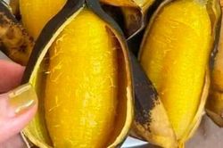 Việt Nam có loại chuối 'lạ', phải luộc chín mới ăn được, cứ ra chợ là thấy