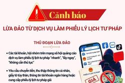 Cảnh báo lừa đảo từ dịch vụ làm phiếu lý lịch tư pháp