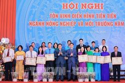 Tôn vinh điển hình tiên tiến ngành nông nghiệp và môi trường năm 2026