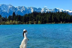 Cô gái Việt chi hơn 60 triệu đồng/người cho 12 ngày road trip đảo Nam New Zealand