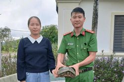 Người dân tự nguyện giao nộp rùa đất lớn quý hiếm