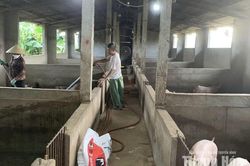 Tái đàn, tăng đàn vật nuôi những tháng cuối năm